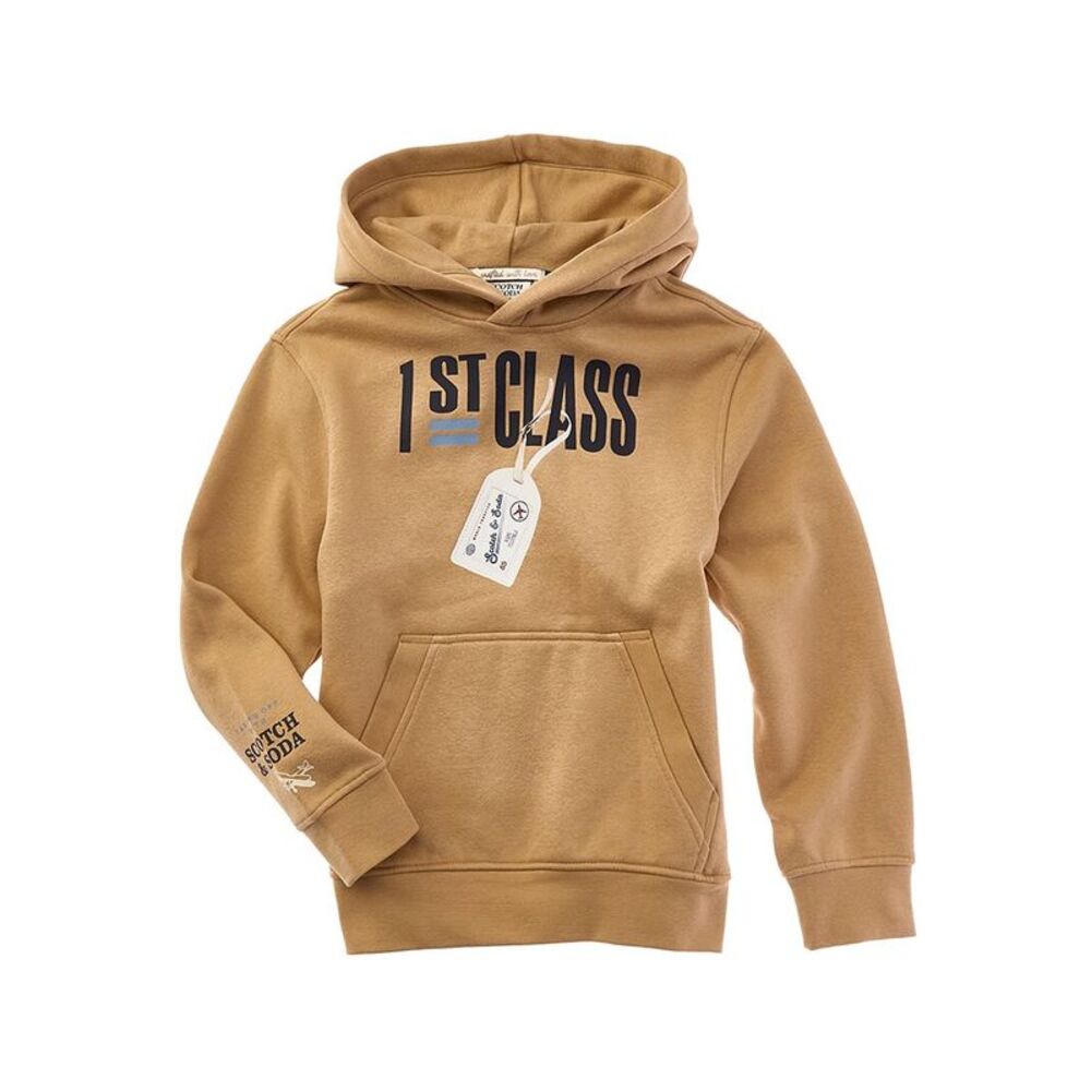 Scotch & Soda Boys  Graphic Fleece Pullover Hoodie, Tan
